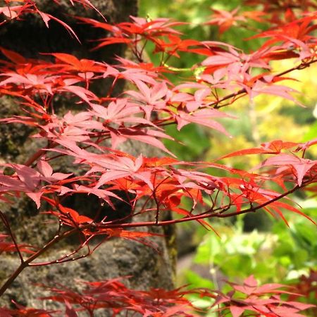 Usuki Yunosato Otel Saiki Dış mekan fotoğraf